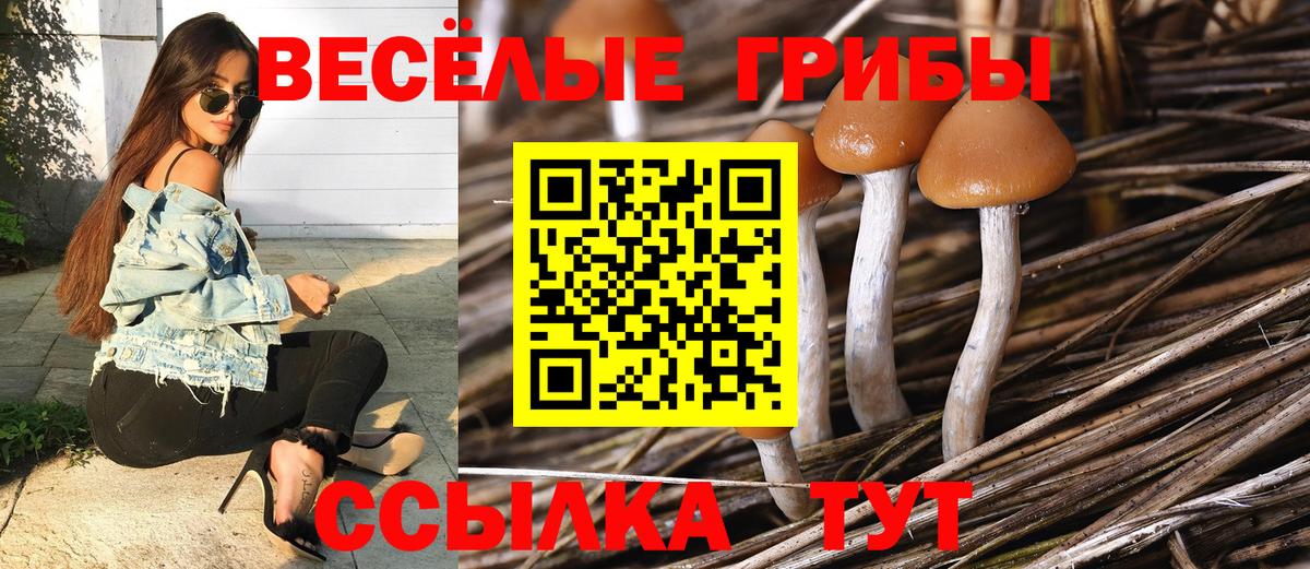 Галлюциногенные грибы мицелий Фрязино